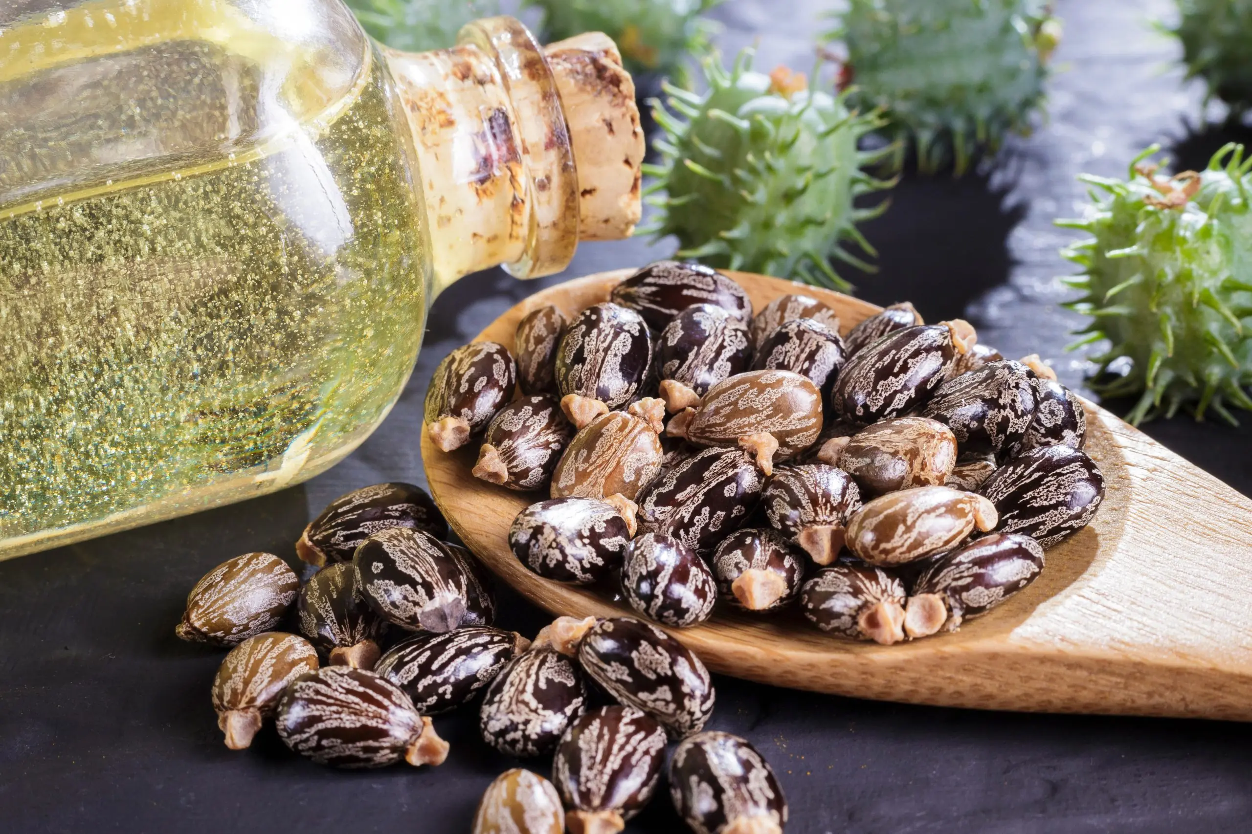 Castor Oil